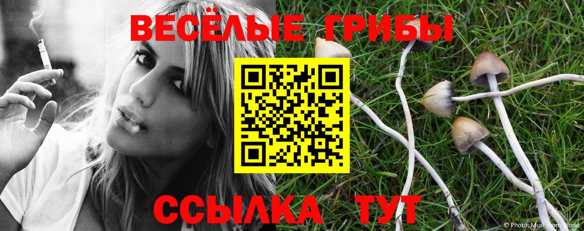 Галлюциногенные грибы прущие грибы Белебей