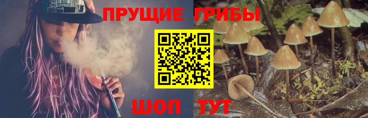 Белебей  Псилоцибиновые грибы Psilocybe  Вход с VPN 